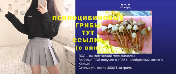 герыч Абаза