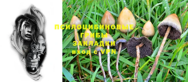 герыч Абаза