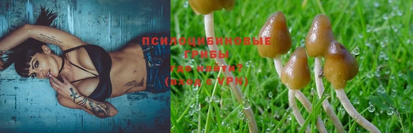 гидра Абдулино